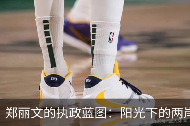 郑丽文的执政蓝图：阳光下的两岸关系新篇章